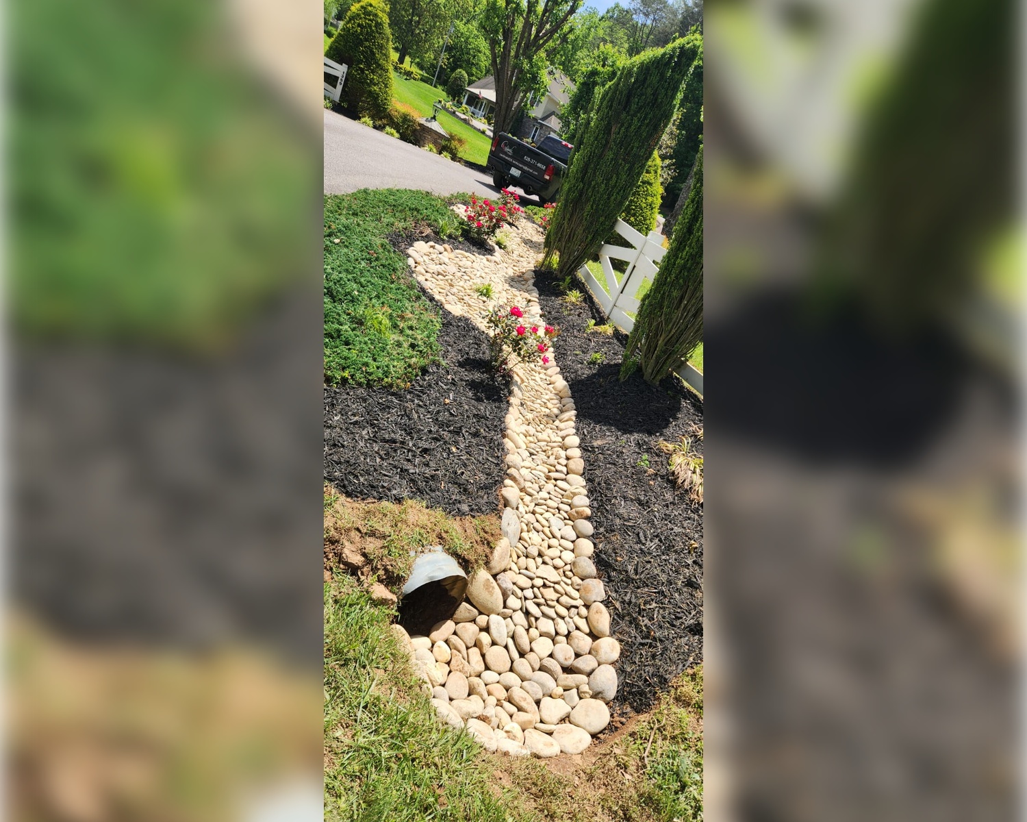 Tree Service Tree Service