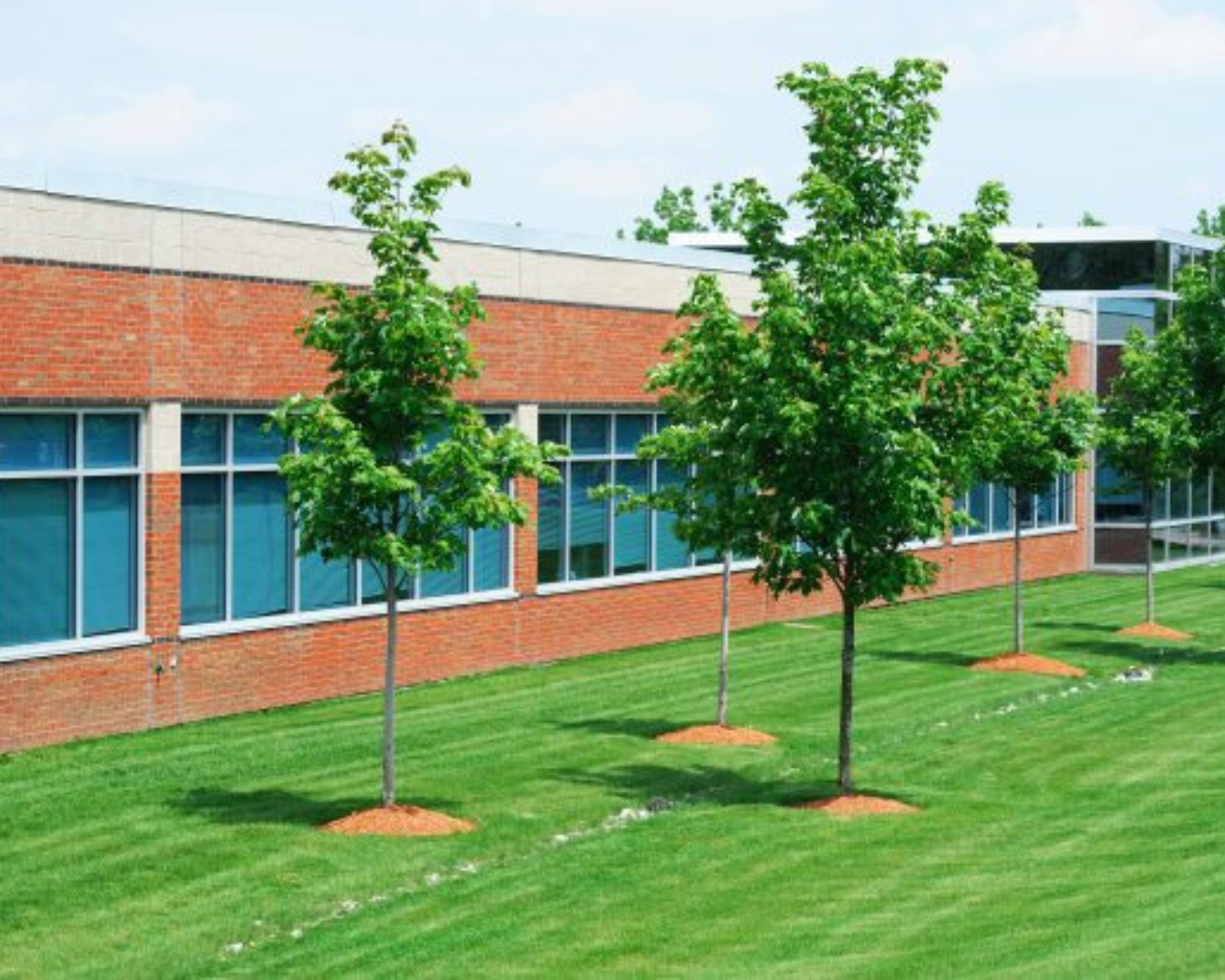 HIGH QUALITY LAWN MAINTENANCE 